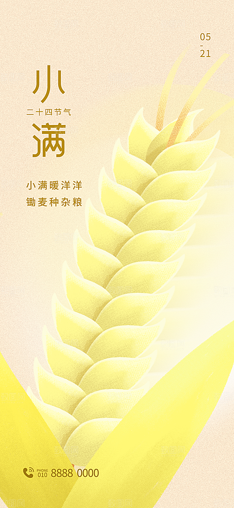 传统节气小满宣传海报