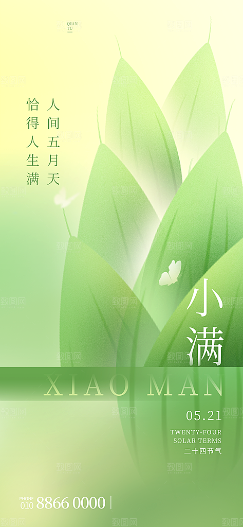 传统节气小满宣传海报