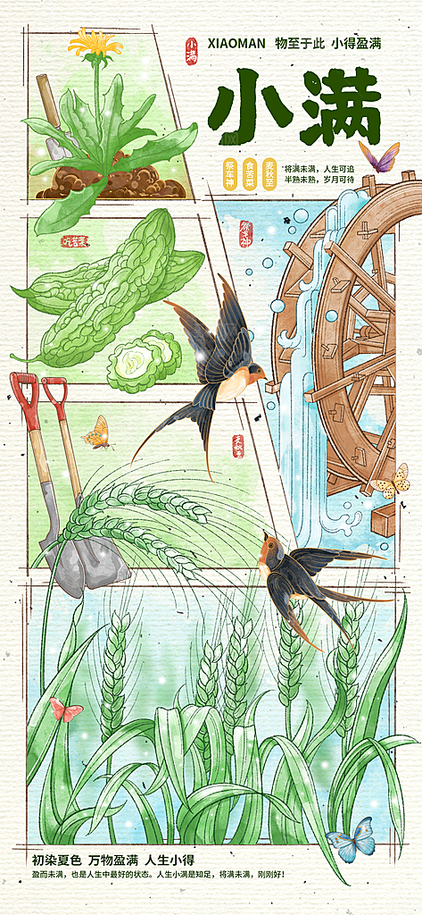 传统节气小满宣传海报