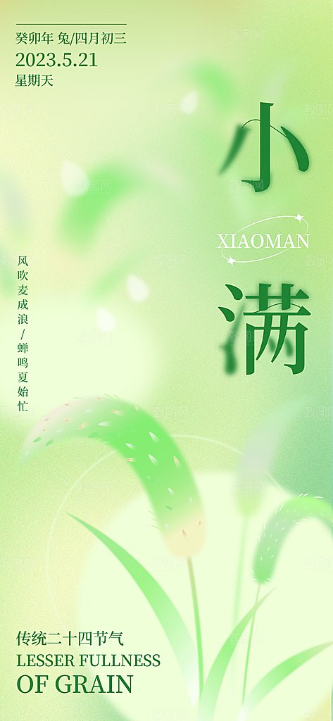 传统节气小满宣传海报