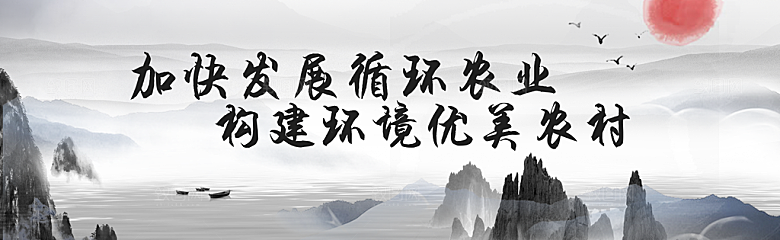 新农村墙绘文化墙