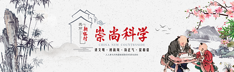 新农村墙绘文化墙