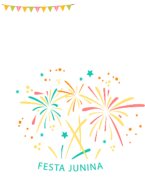 烟花年货绚丽光效