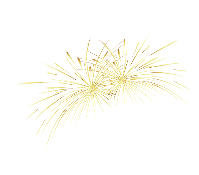 烟花年货绚丽光效