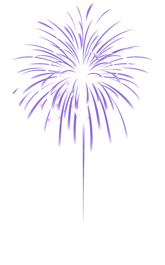 烟花年货绚丽光效
