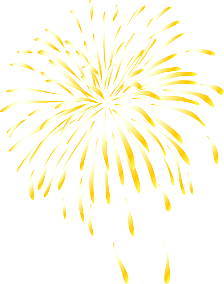 烟花年货绚丽光效