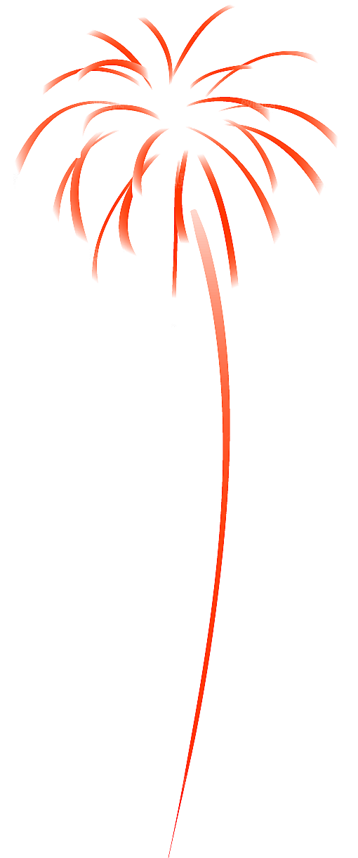 烟花年货绚丽光效