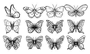 手绘素描蝴蝶矢量元素