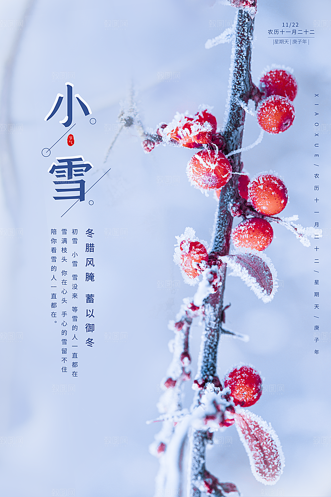 二十四节气小雪海报