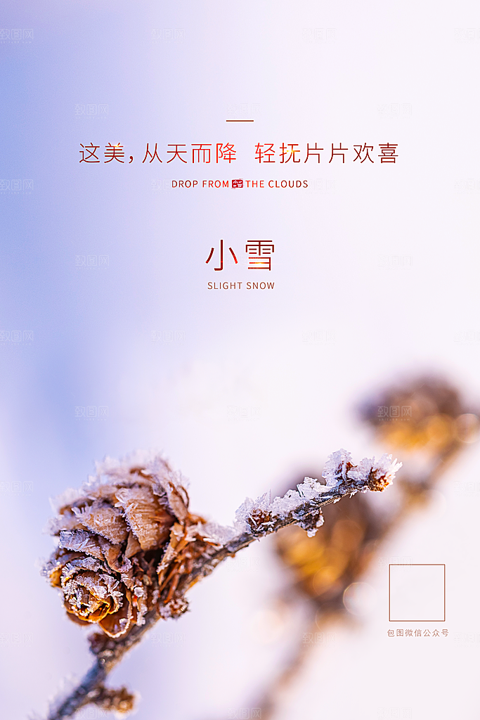 二十四节气小雪海报