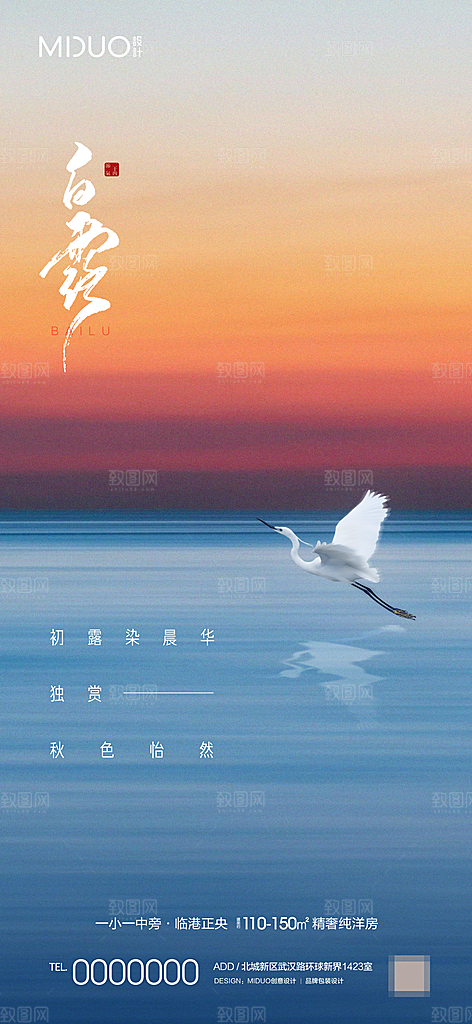 白露节气海报单图