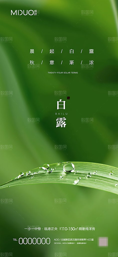 白露节气海报单图