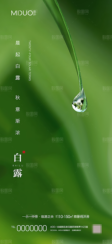 白露节气海报单图