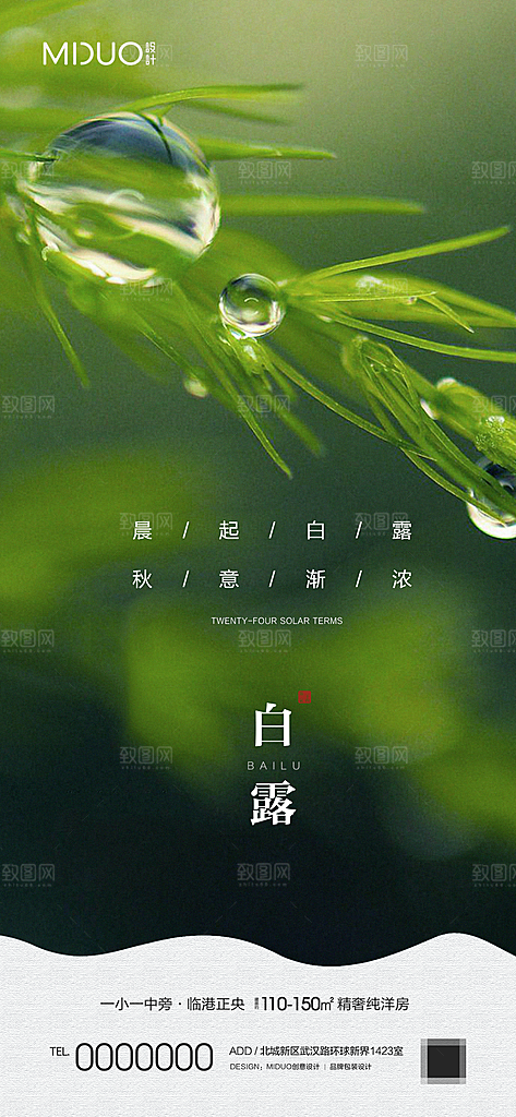 白露节气海报单图