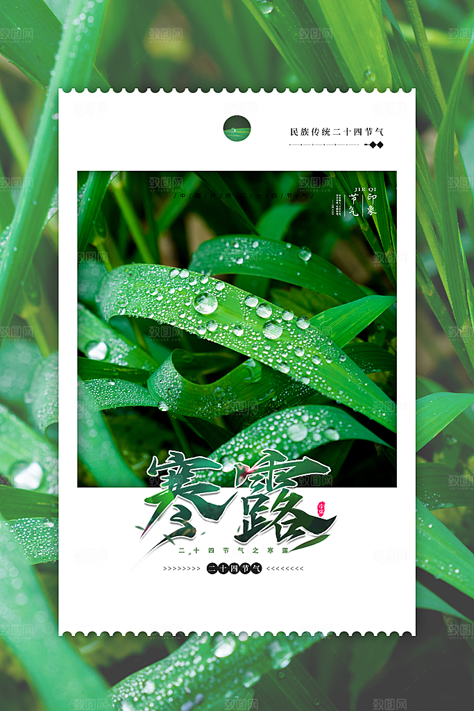 节气寒露节气海报