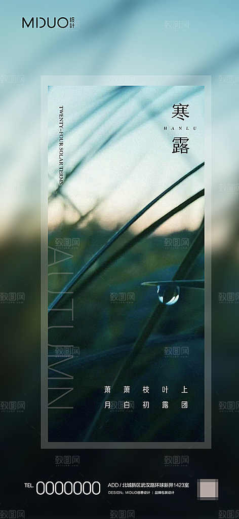 寒露节气海报单图