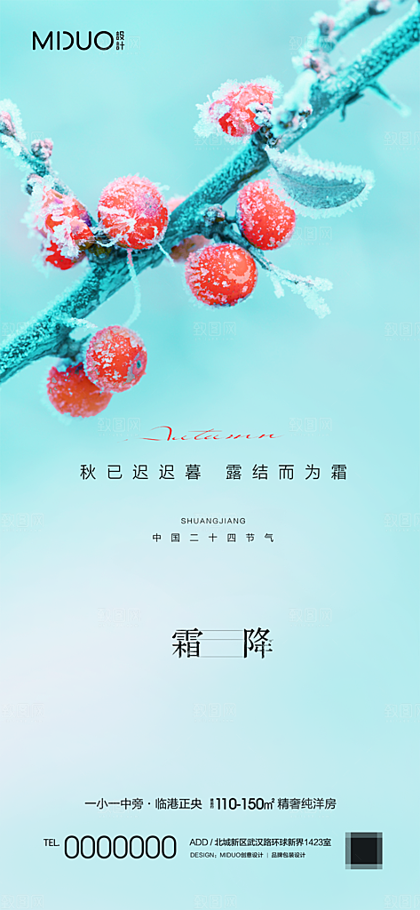 霜降节气海报单图