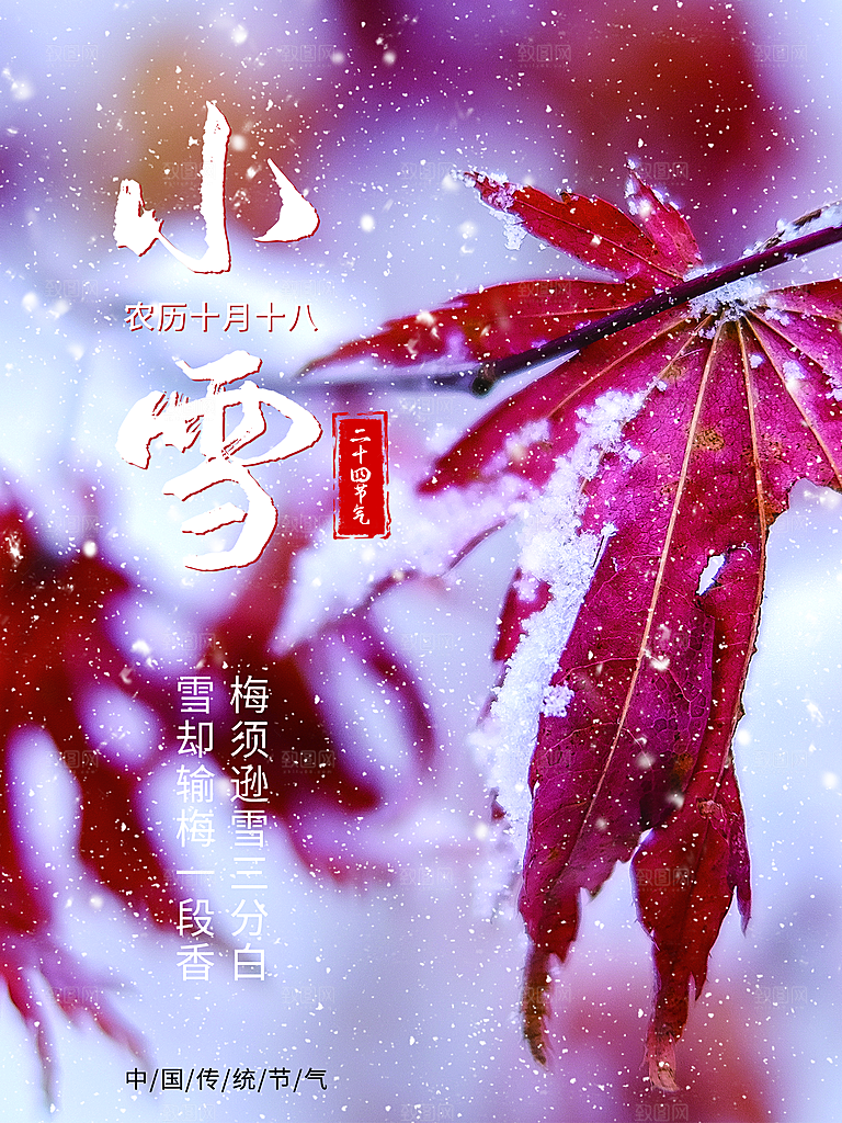 二十四节气小雪海报