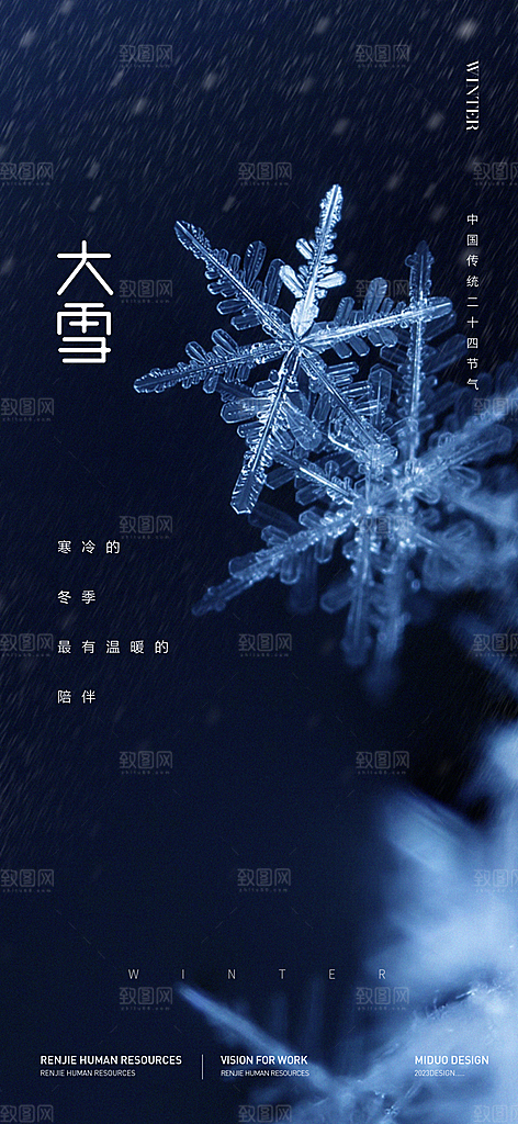 大雪节气海报单图