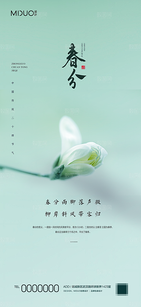 春风节气海报单图