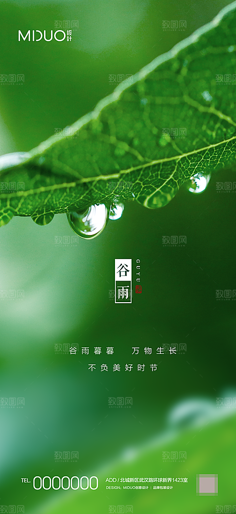 谷雨节气海报单图