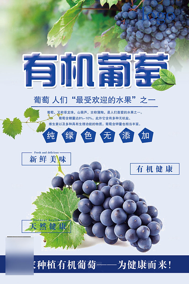 美食水果促销海报