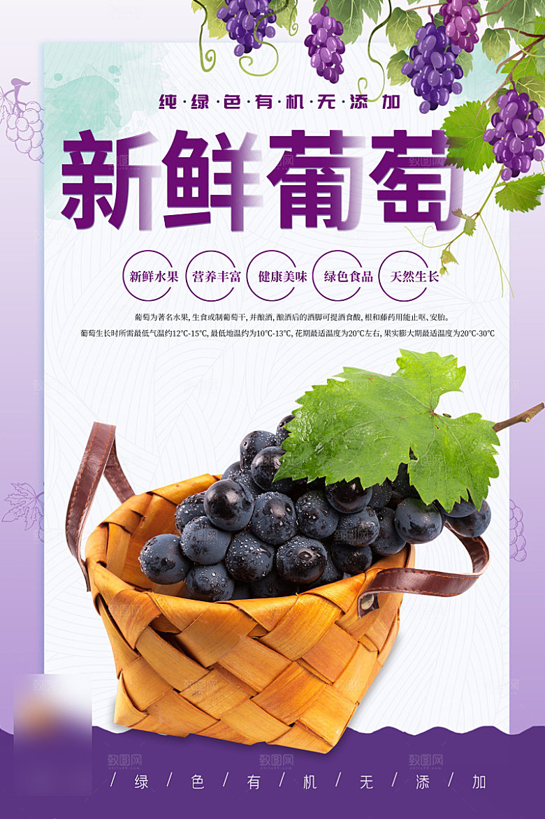 美食水果促销海报