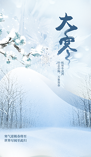 大寒节气雪景蓝色中式简约广告宣传海报