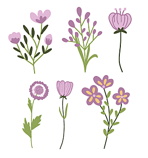 手绘紫色花卉矢量元素