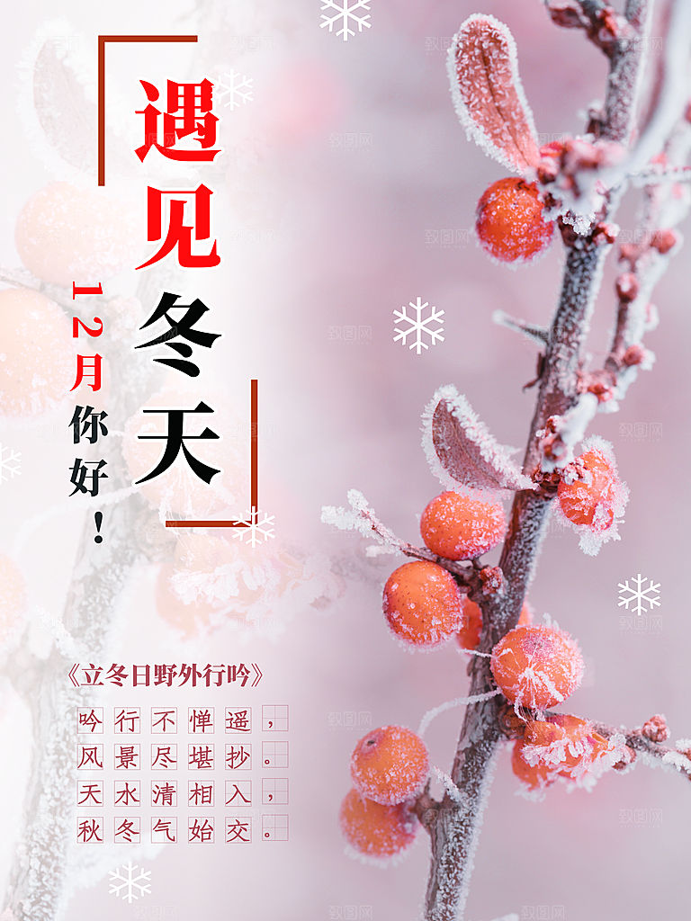 中国传统文化节日节气冬至吃饺子海报插画