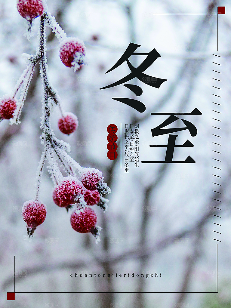 中国传统文化节日节气冬至吃饺子海报插画