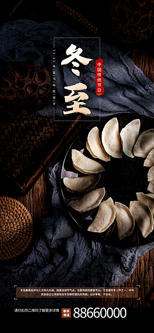 中国传统文化节日二十四节气冬至饺子海报插