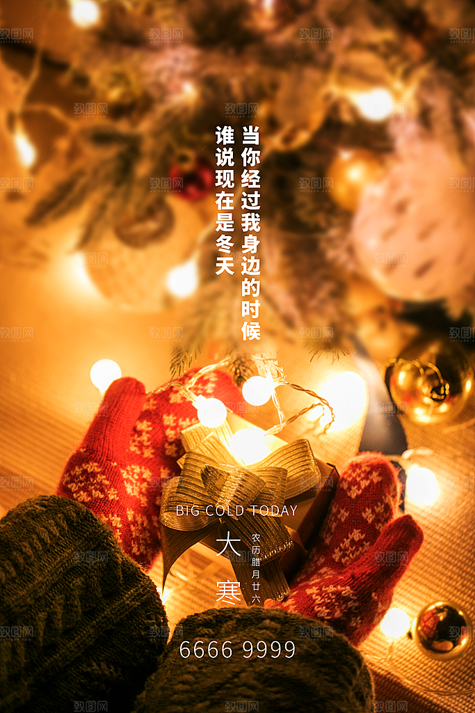 大寒节气推广宣传海报