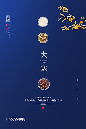 大寒节气推广宣传海报