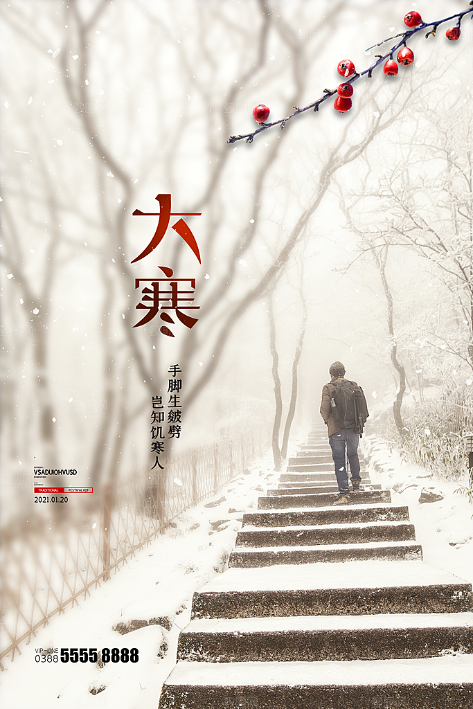 大寒节气推广宣传海报
