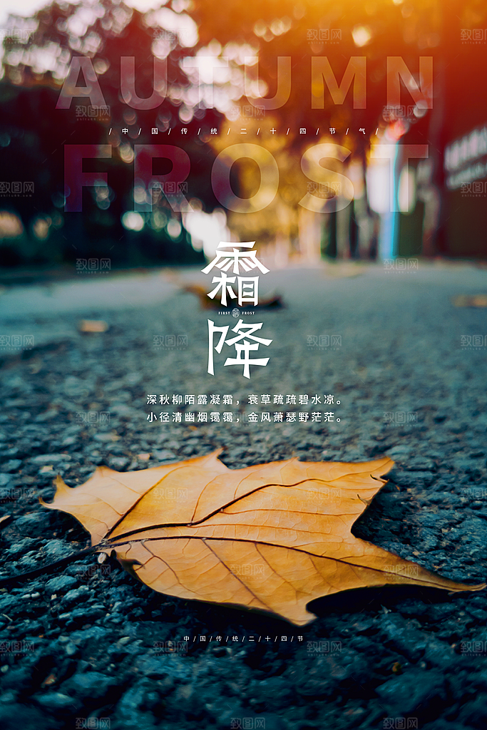 霜降节气海报图片