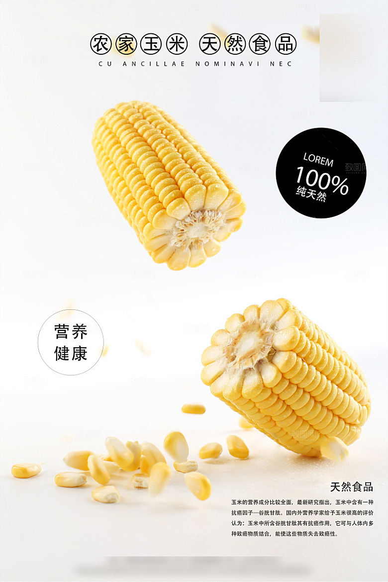 美味美食玉米介绍海报