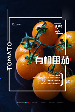美味美食柿子介绍海报