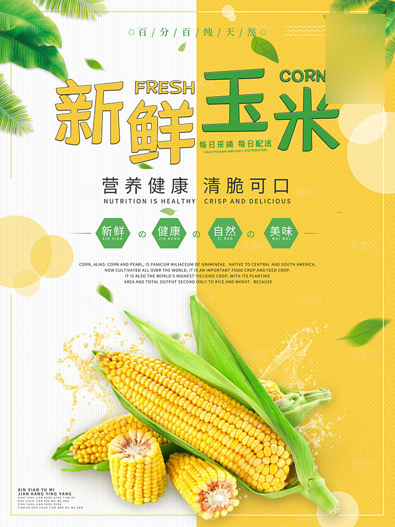美味美食玉米介绍海报