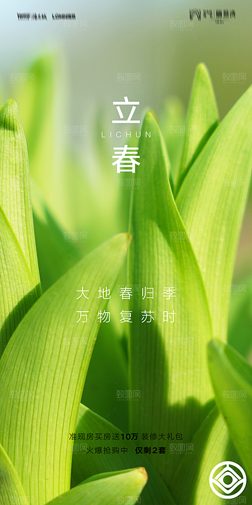 立春节气推广宣传海报