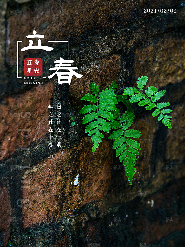 立春节气推广宣传海报
