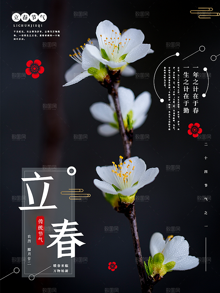 立春节气推广宣传海报