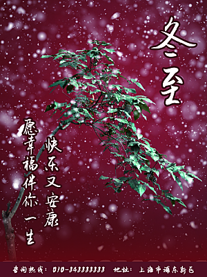 中国传统文化节气冬至雪花饺子汤圆