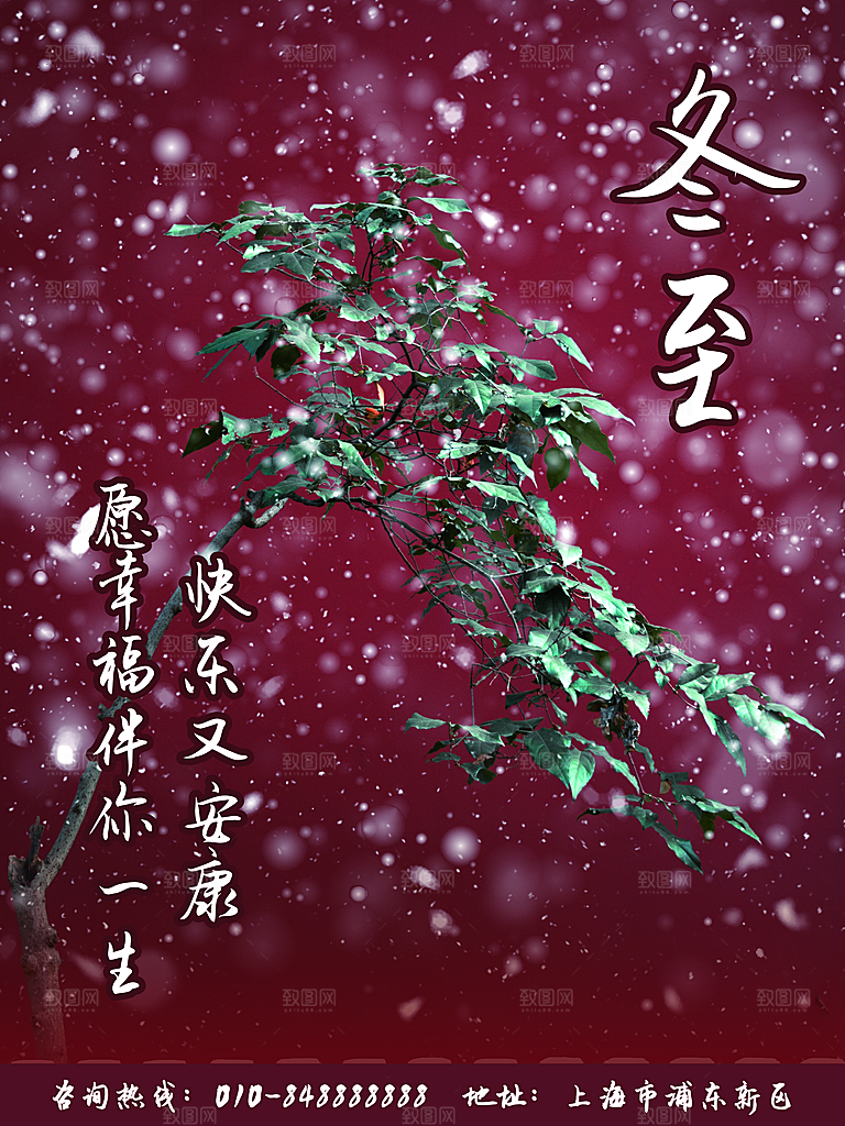 中国传统文化节气冬至雪花饺子汤圆