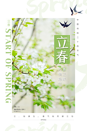 立春节气推广宣传海报