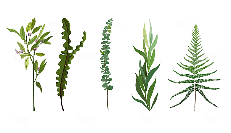 手绘绿植树叶矢量元素