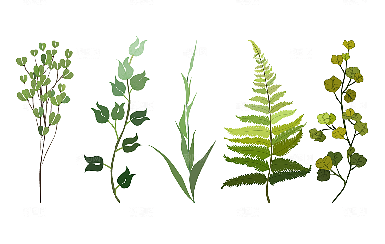 手绘绿植树叶矢量元素