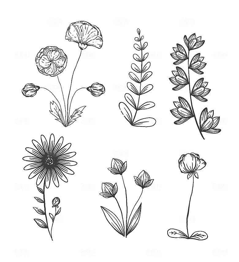 线描素描花卉矢量元素