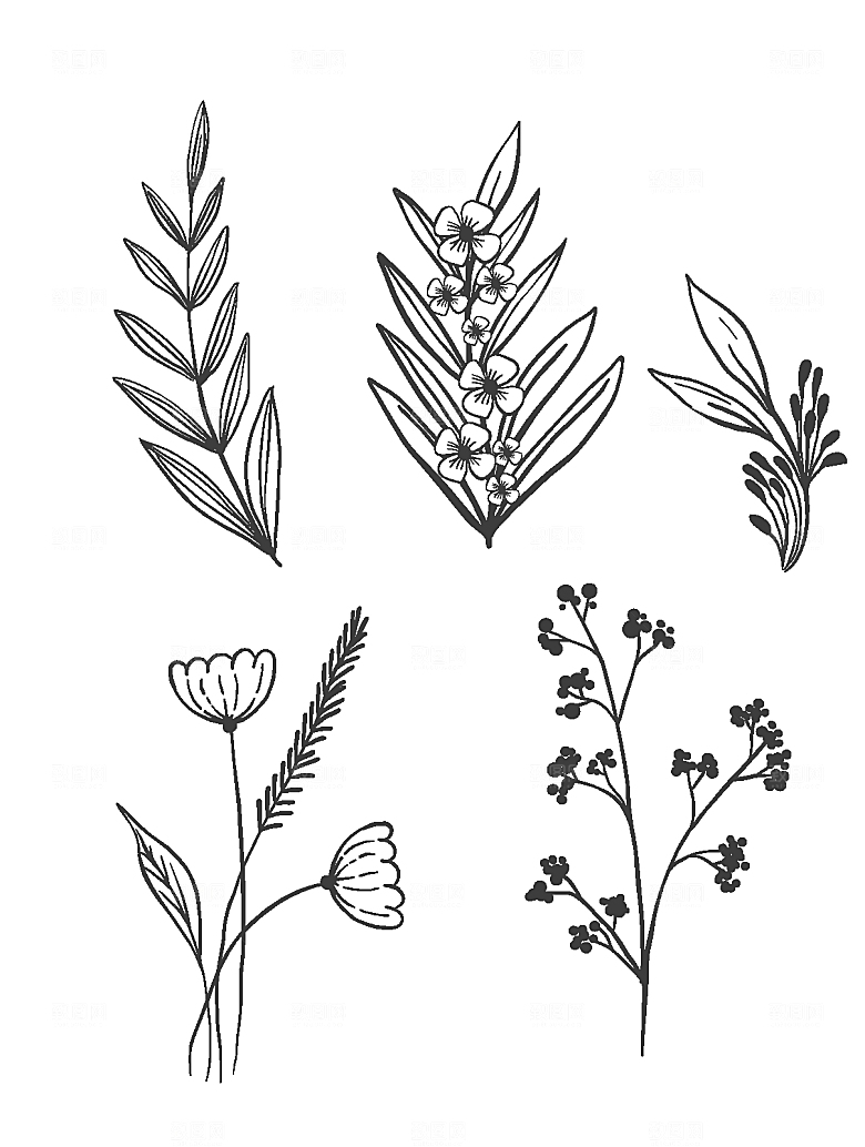 线描素描花卉矢量元素
