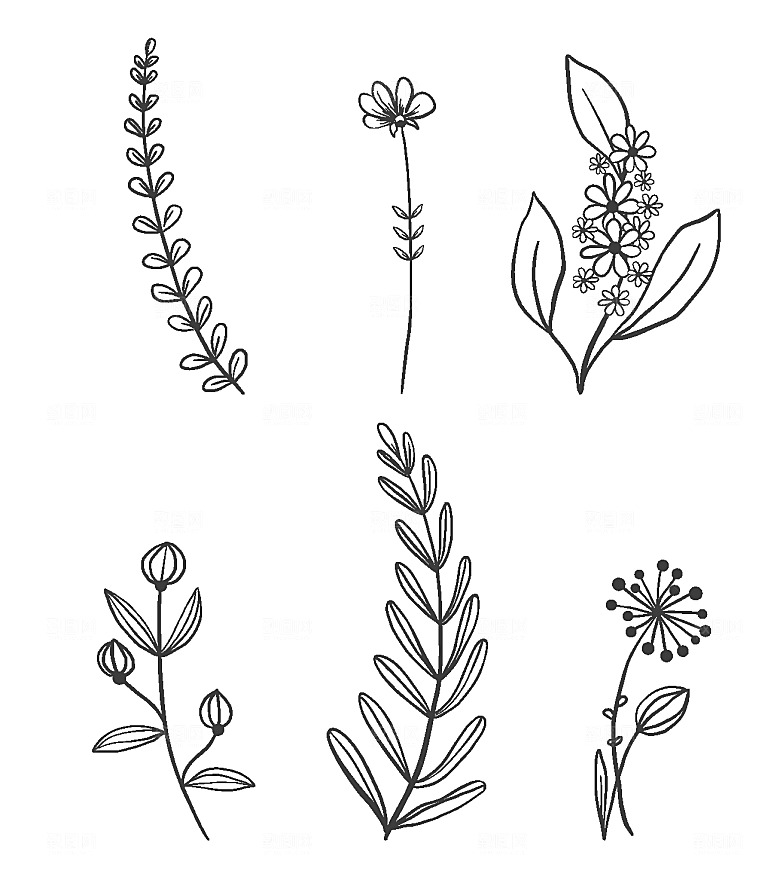 线描素描花卉矢量元素
